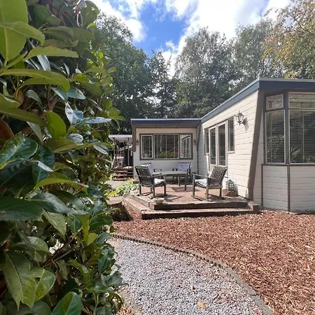 De Bos Egel - Rustig Chalet Aan Bosrand Met Zwembad